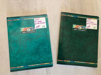 2 cahiers « super conquérant » 17x22 grands carreaux 96 pages NEUFS