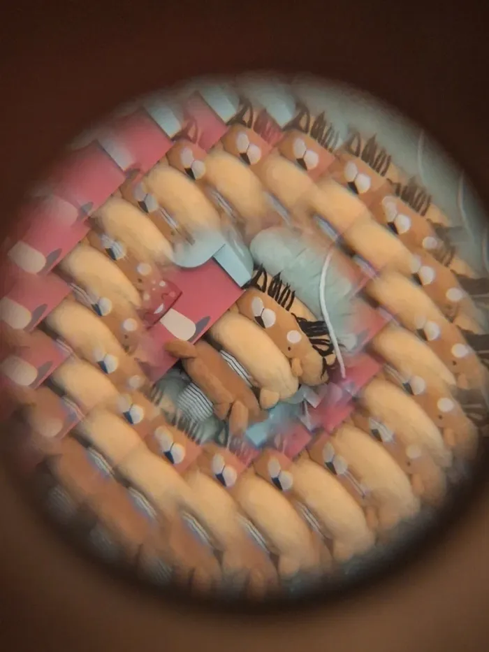 appareil photo en bois - photo numéro 3