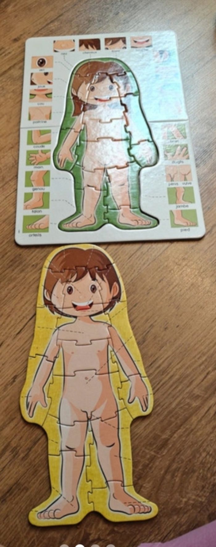 Puzzle corps humain - photo numéro 4