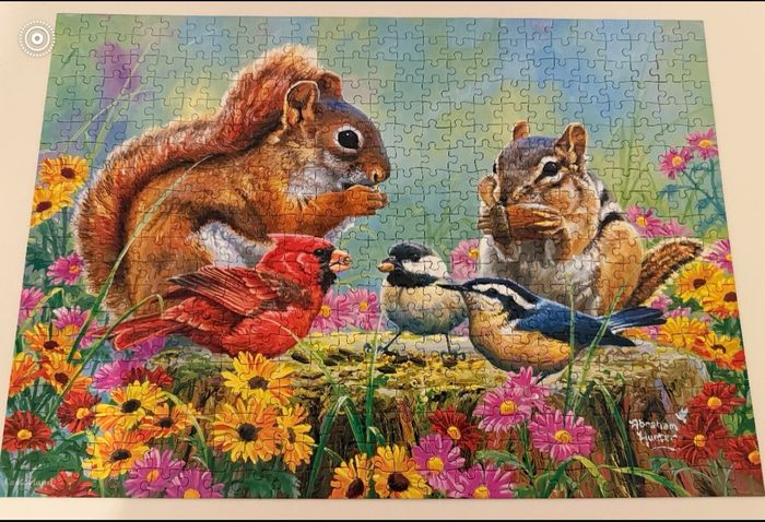 Puzzle COMPLET 500 pièces TRÈS BON ÉTAT deux écureuils 🐿️ - photo numéro 2