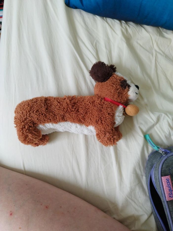 Trousse chien