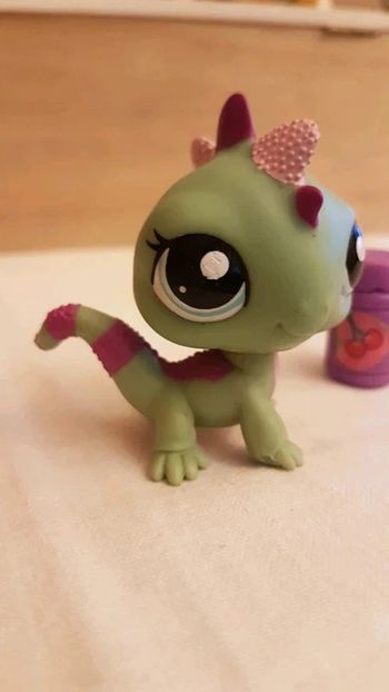 Dragon de Komodo ou iguane petshop