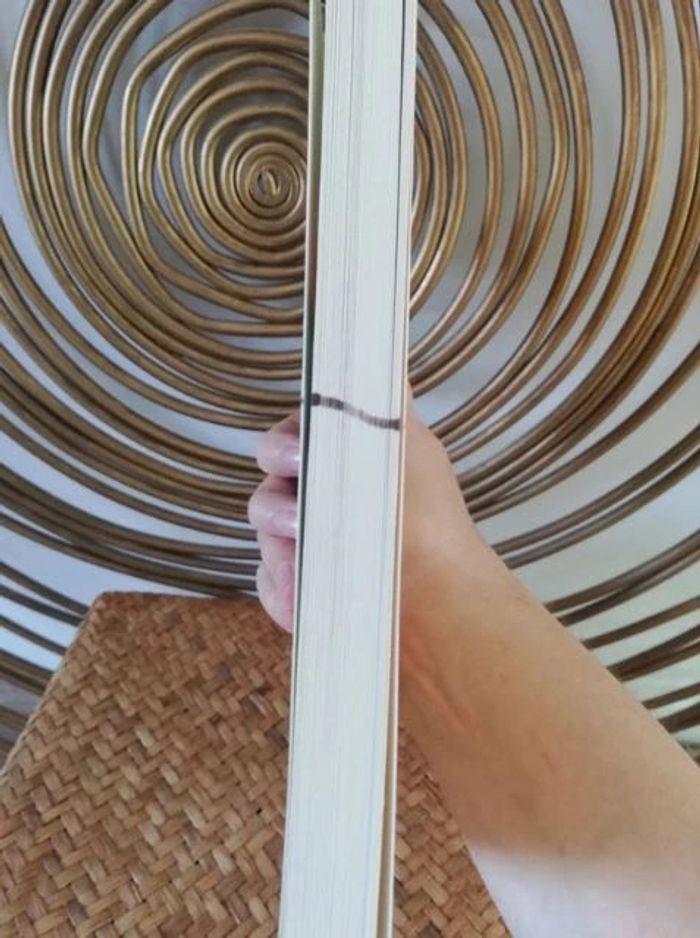 Livre Antoine Griezmann N°8 Goal - photo numéro 3