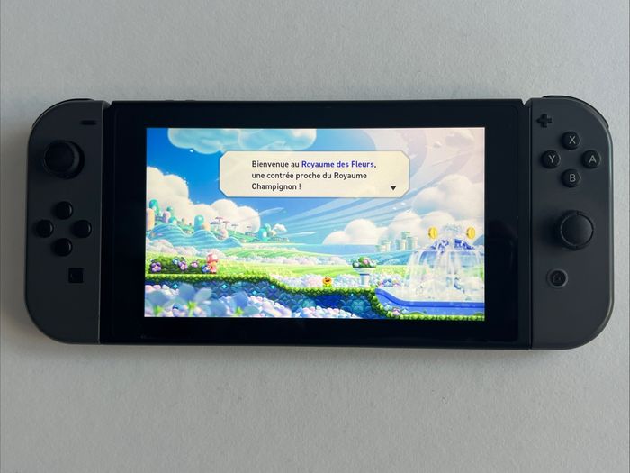 Nintendo Switch - photo numéro 4
