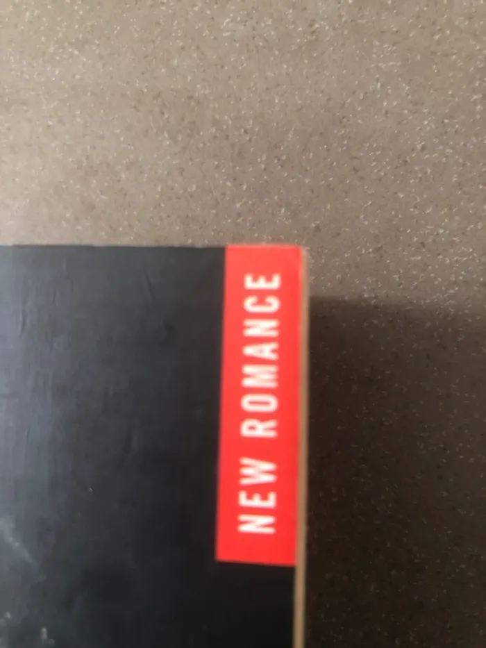 Livre mentir new romance 📕 - photo numéro 4