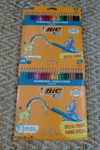 Lot crayon de couleur Bic