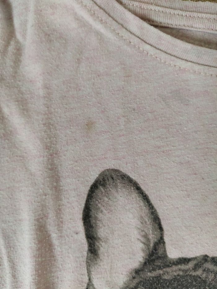 T-shirt bouledogue - photo numéro 4