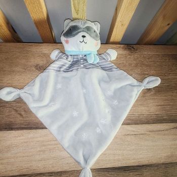 Raton  Laveur mots d enfants  gris etoiles