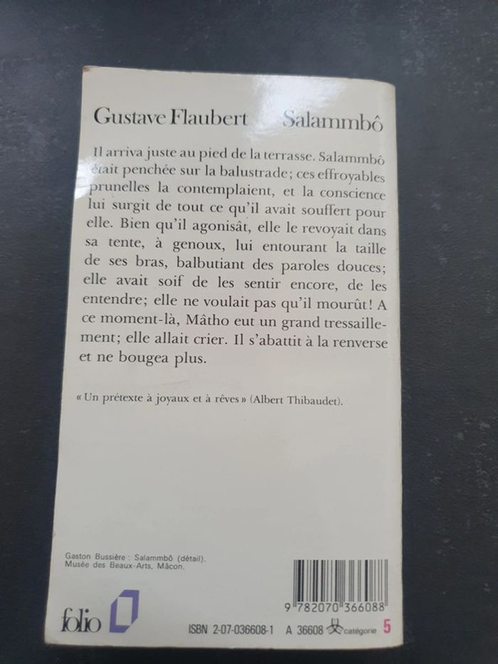 Flaubert salammbo - photo numéro 2