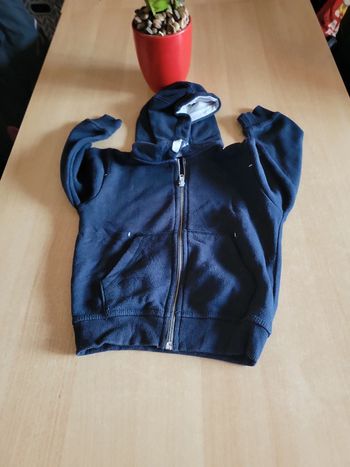 Veste zippée à capuche
