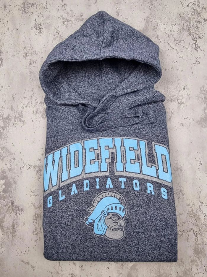 Pull capuche universitaire bleu/gris, M Hommes - photo numéro 2