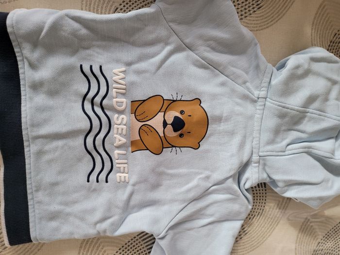 Veste  capuche okaidi bébé garçon 12 mois - photo numéro 3