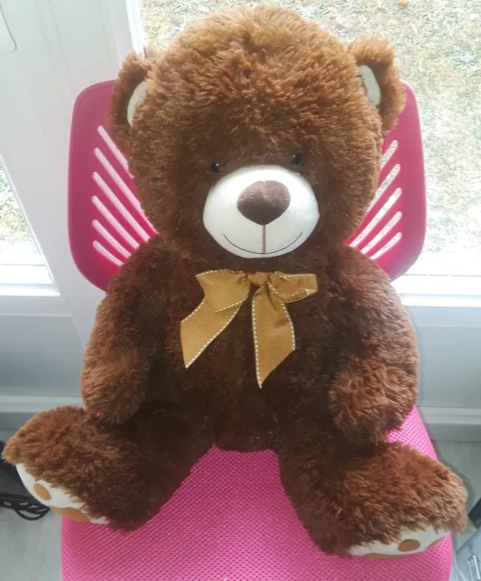 Nounours - photo numéro 4