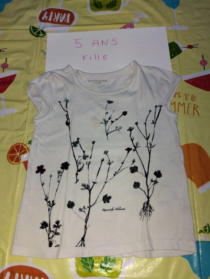 Lot de 2 Tee-shirt manches courtes 5 ans fille - photo numéro 2