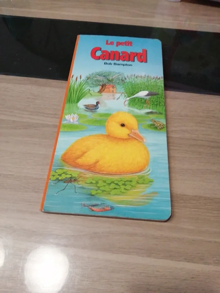 Le petit canard