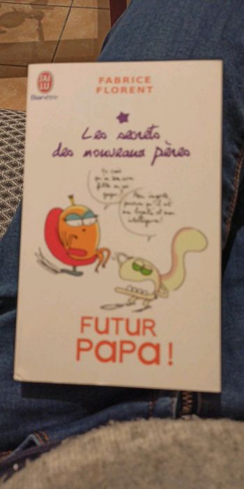 Livre les secrets des nouveaux pères - futur papa
