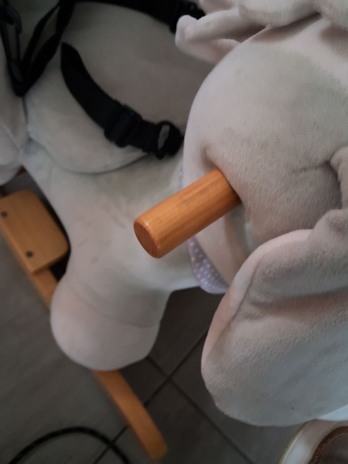 Âne a bascule - photo numéro 3