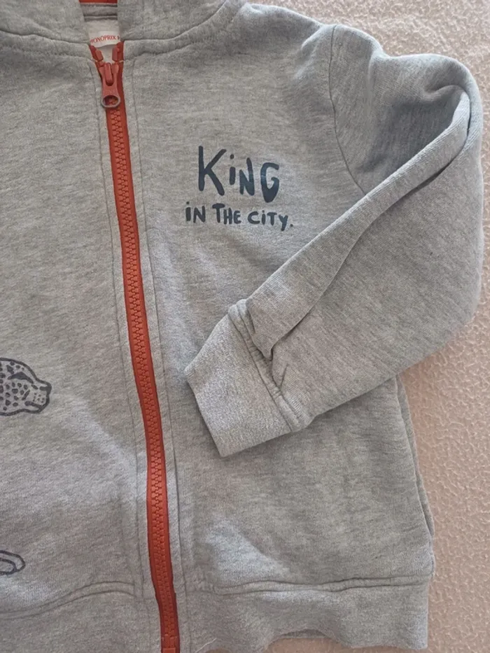Superbe veste à capuche 4 ans garçon - photo numéro 2