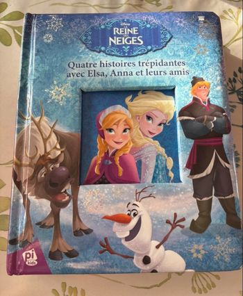 Livre reine des neiges 
