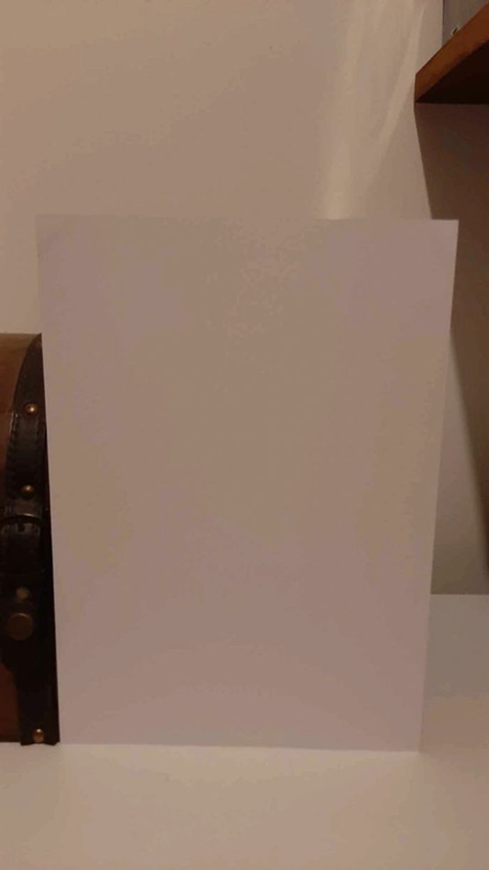 Ex-libris manga Bakemonogatari Pika Edition 20 ans - photo numéro 3