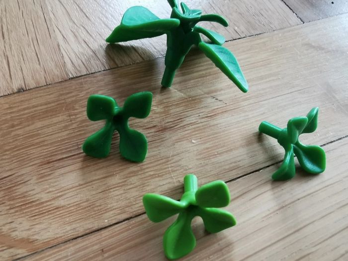 Lot plantes - photo numéro 2