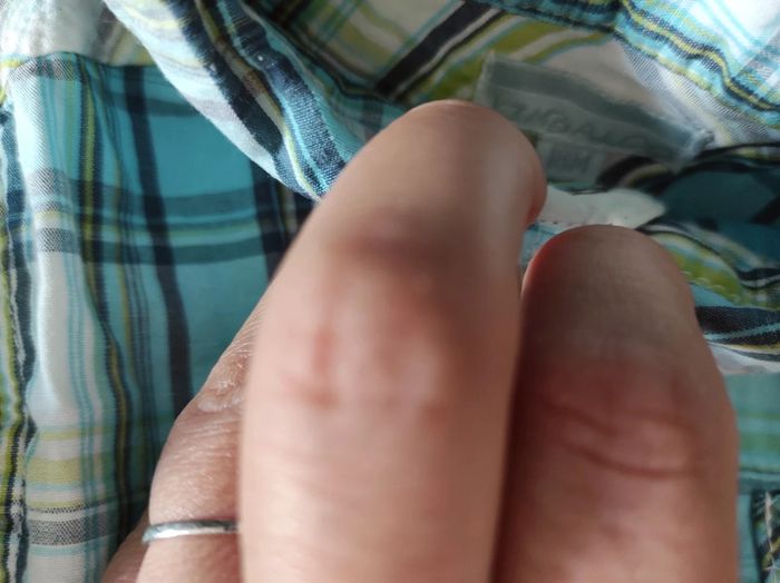 Lot de deux chemises MC - photo numéro 3