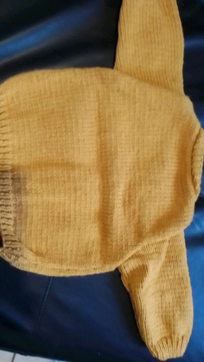 Pull ours - photo numéro 3