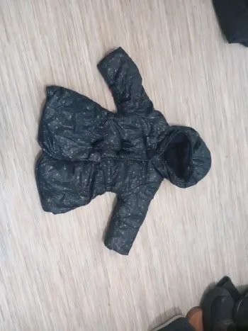 Manteau
