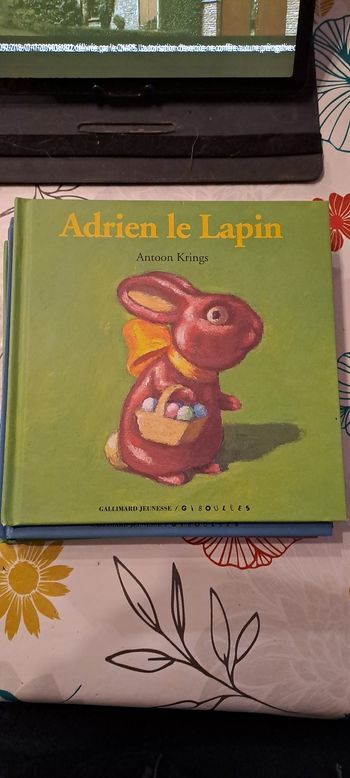 Adrien le lapin, drôles de petites bêtes 