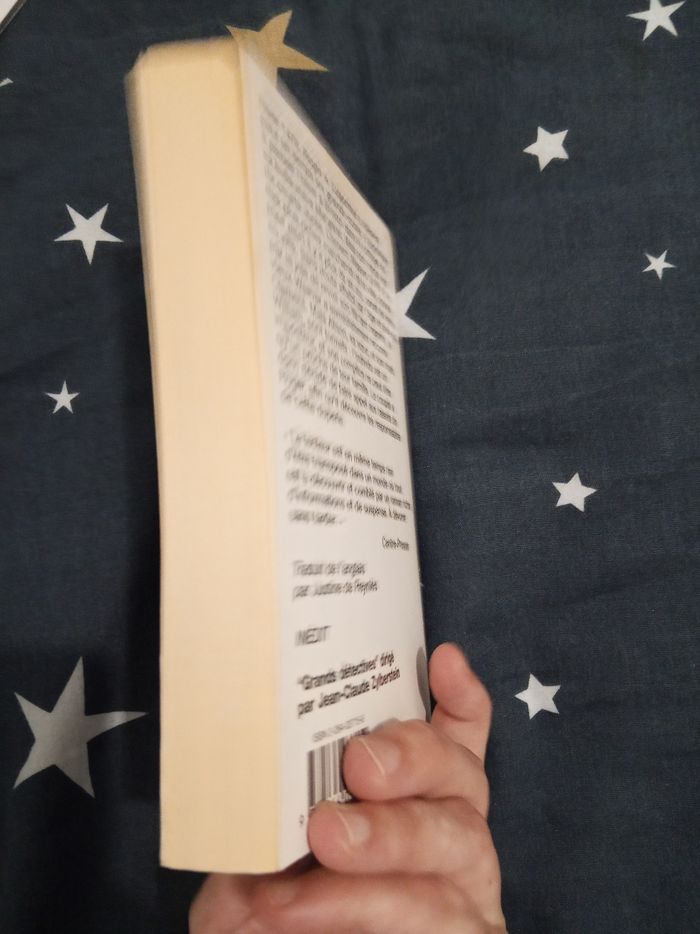 Livre (61) 📚 La fortune de l'echevin - photo numéro 4