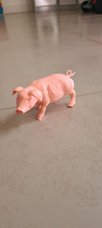 Animaux de la ferme