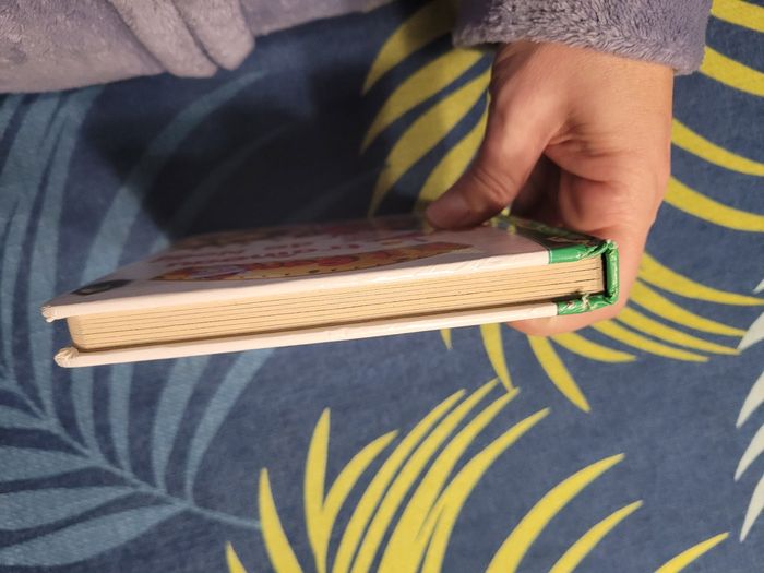 Livre p'tit garçon le traîneau de Noël - photo numéro 5