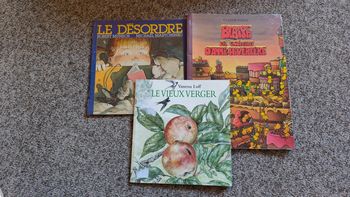 Lot 3 livres enfant