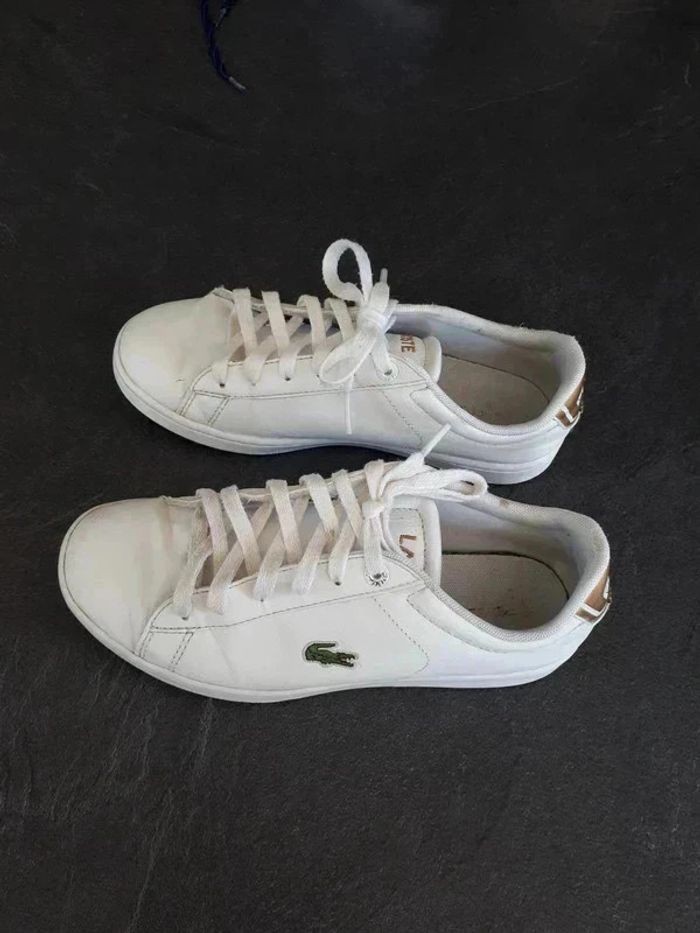 14 € Lacoste Carnaby Junior taille 35 - photo numéro 4