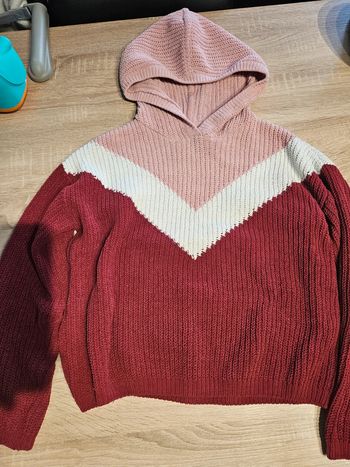 Pull chaud à capuche