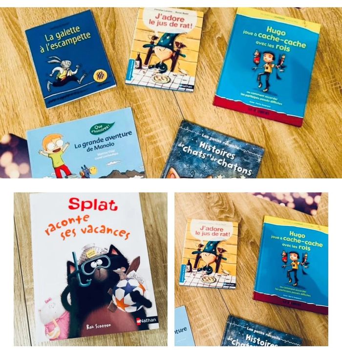 Lot de livres histoires du soir