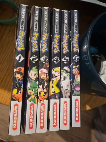 Lot de 6 manges pokemon Noir et Blanc 