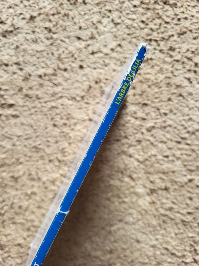 Livre enfant L'Arbre de Lilia de Pascal Hérault - photo numéro 4