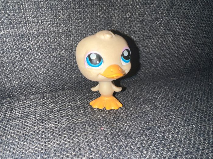 Pet shop canard #108