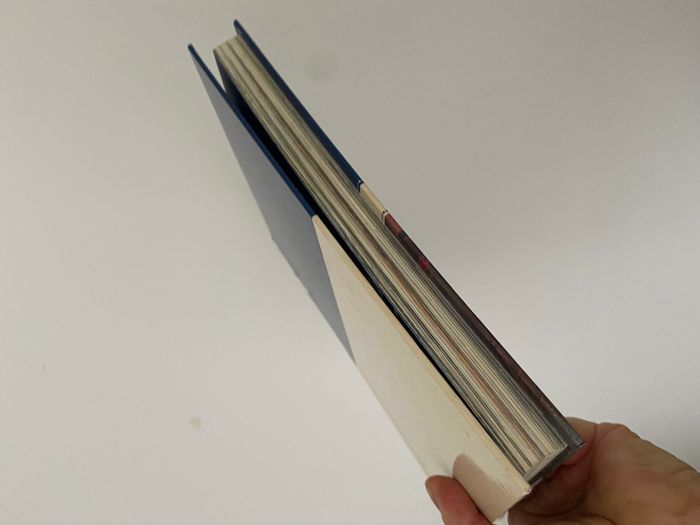 livre disney le monde enchanté pays des merveilles - photo numéro 4