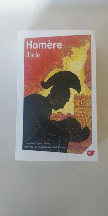 Livre Iliade Homere
