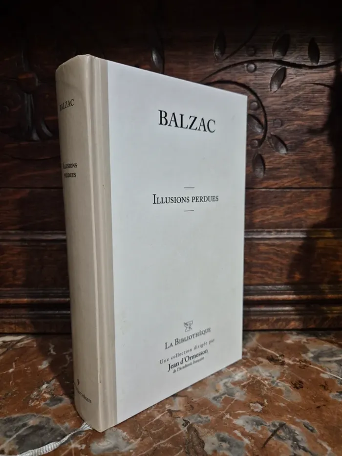 📚 Balzac - Illusions perdues 📚 - photo numéro 4