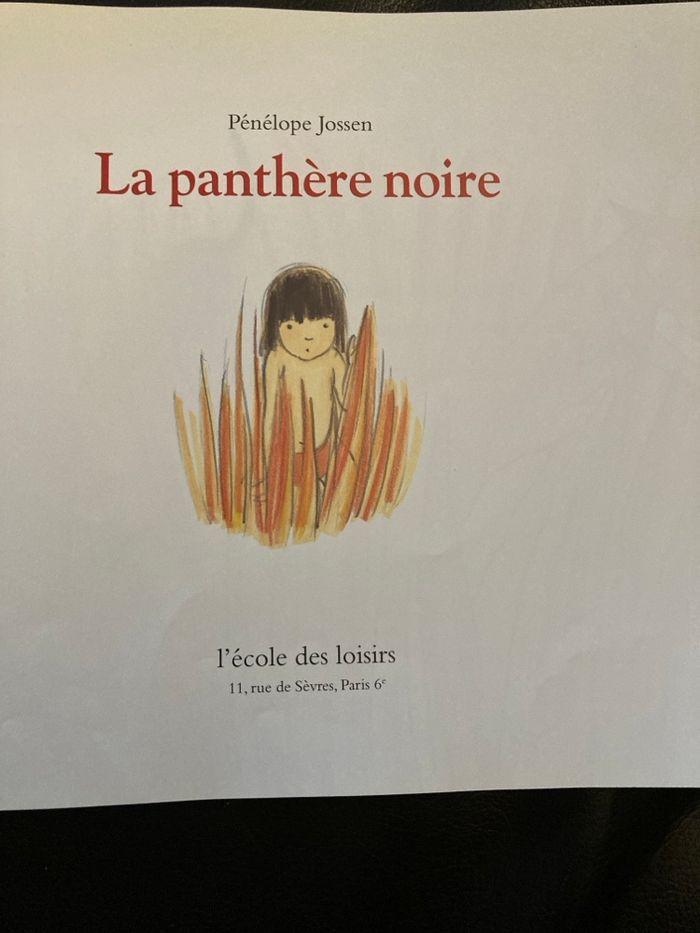 Livre « la panthère noire » - photo numéro 2