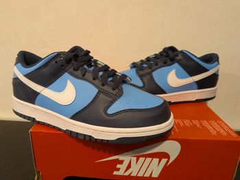 Nike dunk low 
