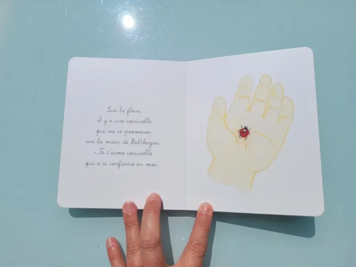 Coffret 3 livres tout carton Montessori 🐈 Bébé Balthazar, Ma première bibliothèque Montessori - photo numéro 17