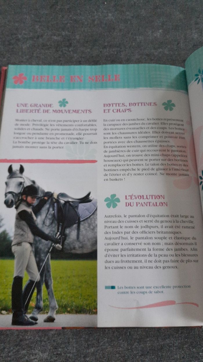 Au galop - photo numéro 6