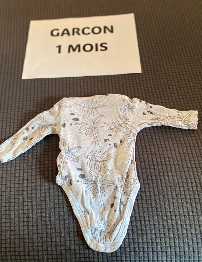 Bodie 1 mois - photo numéro 3