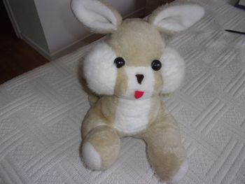 Lapin peluche range pyjama