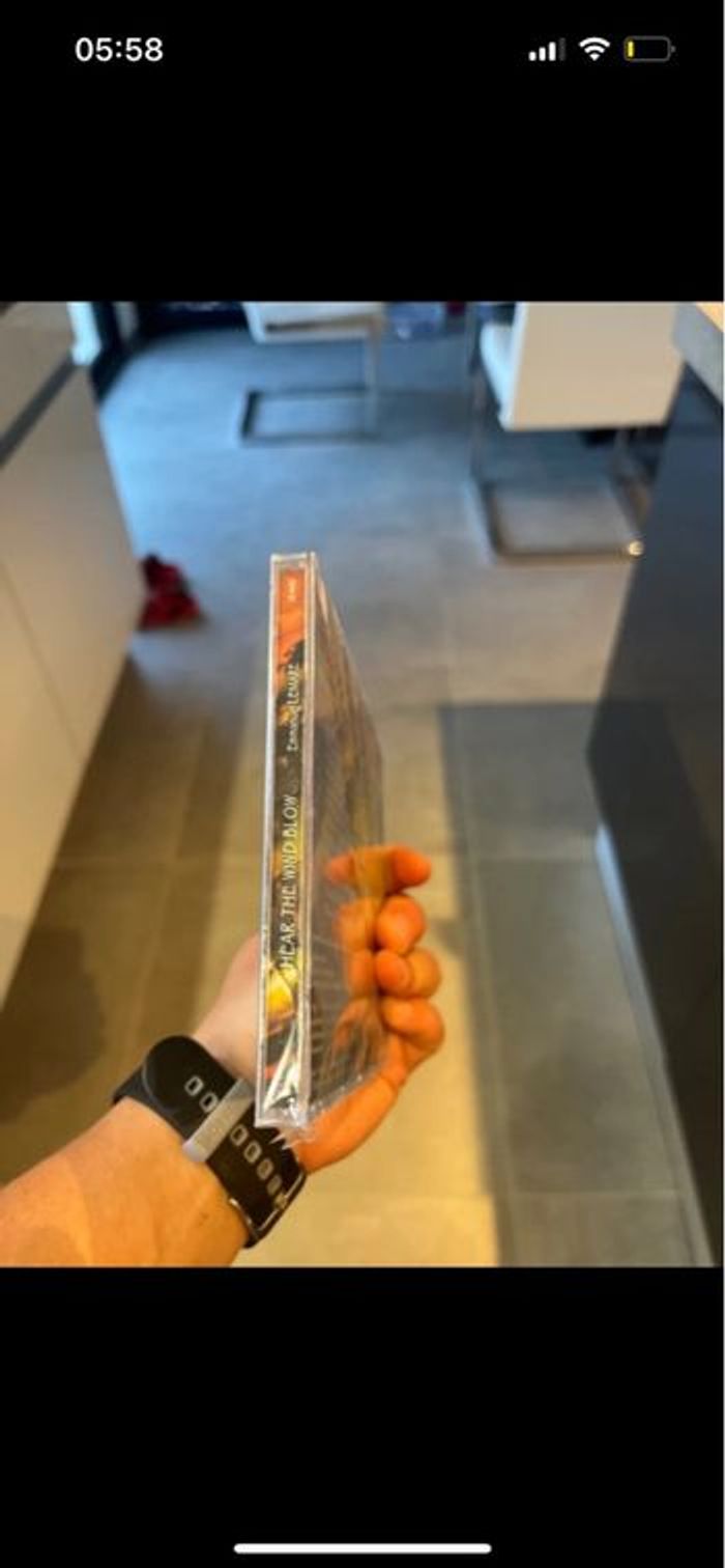 Cd Emmanuel Lemare Hear the wind blow - photo numéro 3