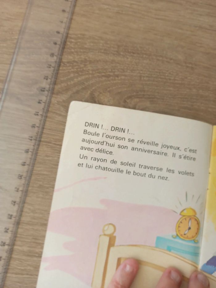 Mini livre l anniversaire de boule - photo numéro 3